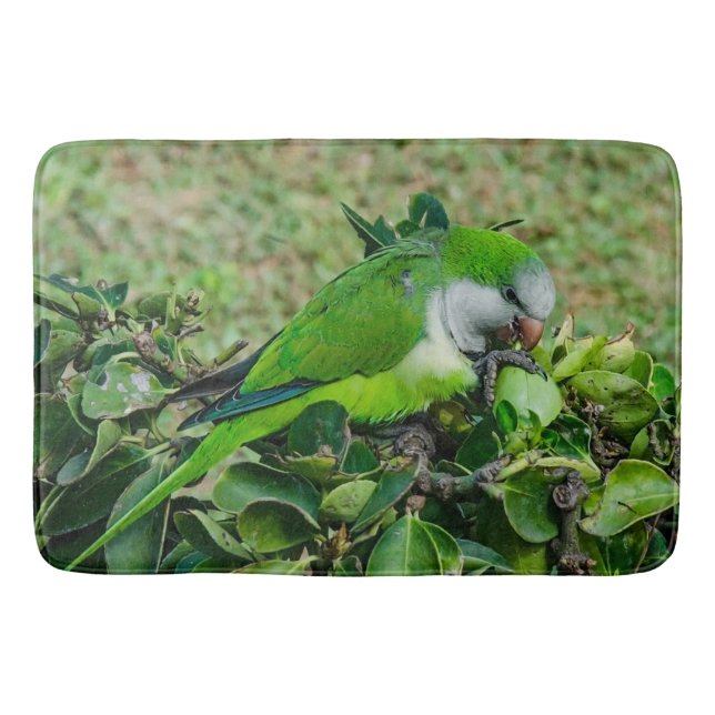 Tapis De Bain Perroquet vert (Devant)