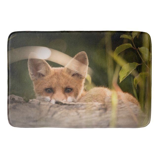 Tapis De Bain Photo de Cute Little Orange Fox (Devant)