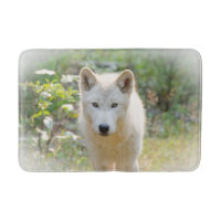 Photographie animale, Loup gris