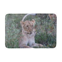 Photographie de faune de lionne au repos