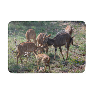 Tapis De Bain Photographie de faune sauvage de l'antilope nyala