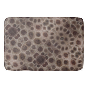 Tapis De Bain Pierres Petoskey Michigan State stone