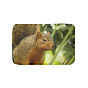 Tapis De Bain Portrait d'un écureuil Nature Animal Photographie