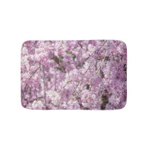 Printemps de fleurs de cerisiers
