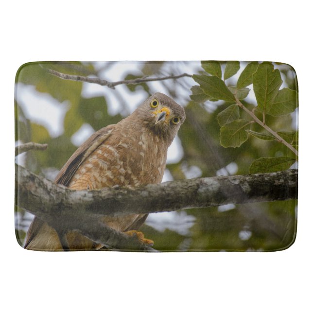 Tapis De Bain Roadside Hawk Belize Bird Photographie (Devant)