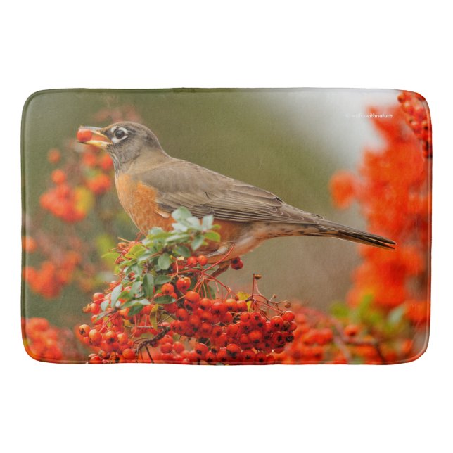 Tapis De Bain Robin américain avec Pyracantha Pomme (Devant)