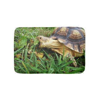 Tapis De Bain Sulcata Tortoise prend une grosse bouchée de feuil