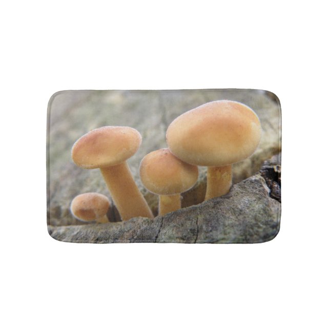 Tapis De Bain Tabourets sur un bain de coffre d'arbre (Devant)