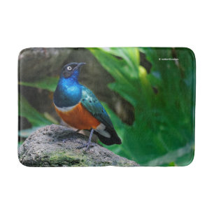 Tapis De Bain Un superbe Starling Africain
