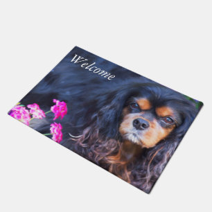Tapis de bienvenue Cavalier King Charles Spaniel