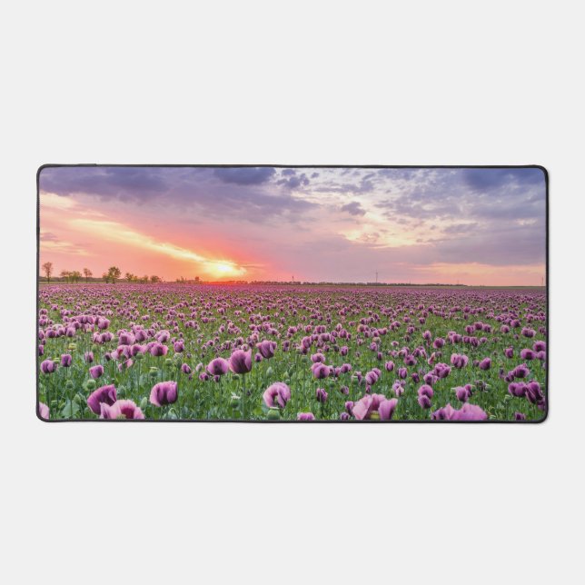 Tapis de bureau avec terrain de fleurs violet Peta (Recto)