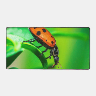 Tapis de bureau coccinelle | Esthétique de l'espac