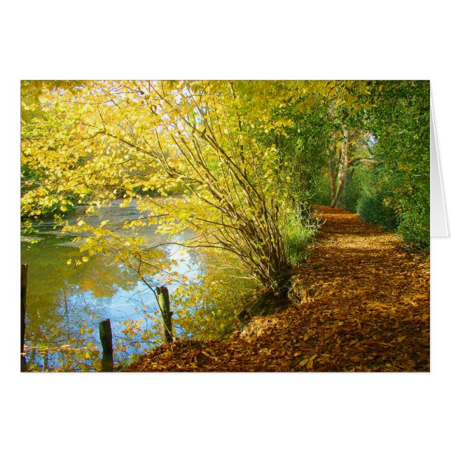 Tapis de Feuille (Devant horizontal)