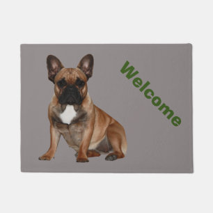 Tapis de porte bulldogs français 