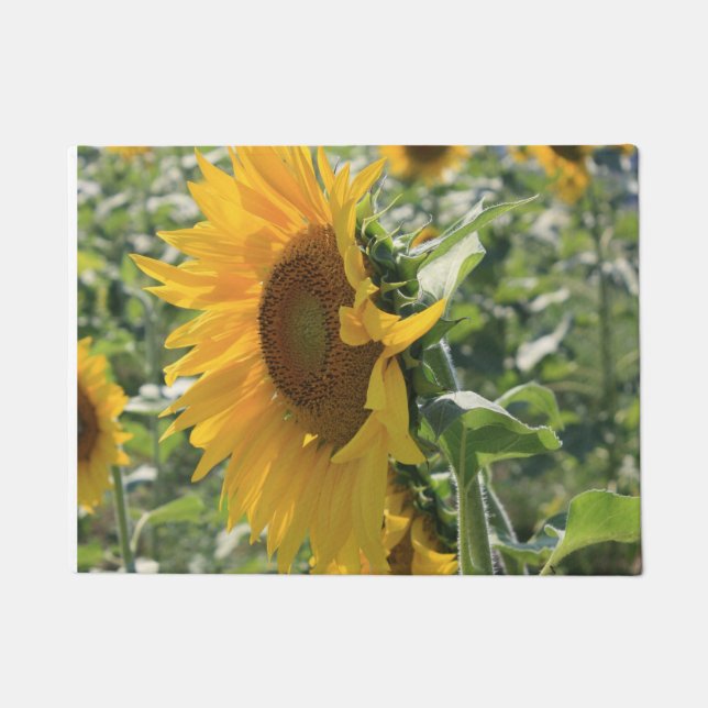 Tapis de porte italien de tournesol (Devant)
