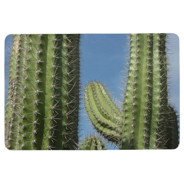 Tapis De Sol Barrel Cactus I Desert Photo (Devant)