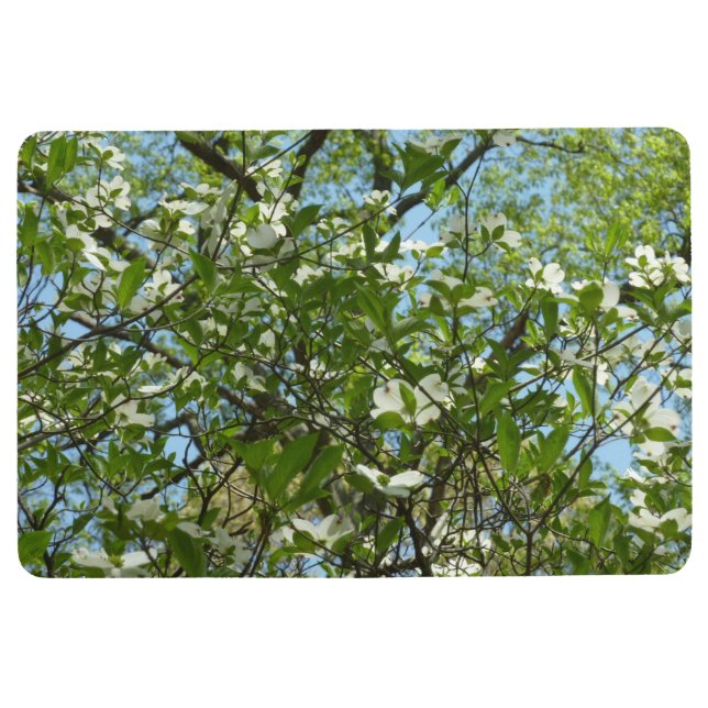 Tapis De Sol Branche of Dogwood Blossoms Spring Trees (Devant)