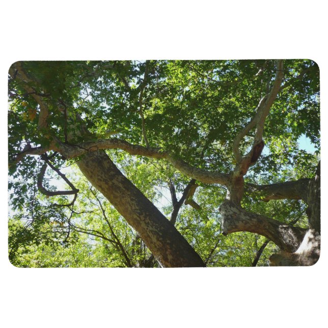 Tapis De Sol Sycamore Tree Nature verte (Devant)
