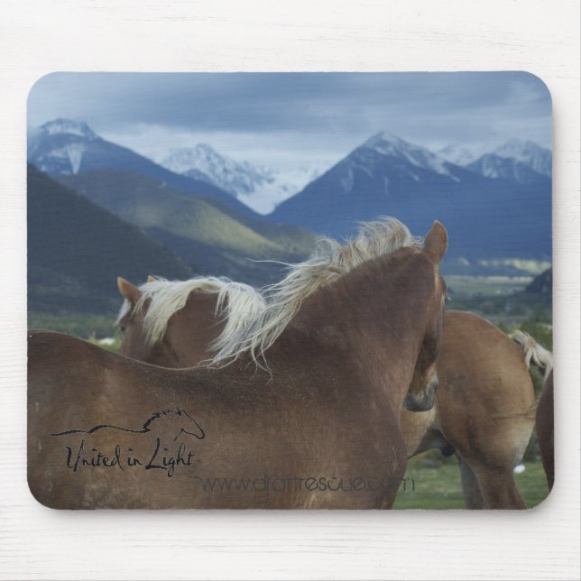 Tapis de souris (Devant)