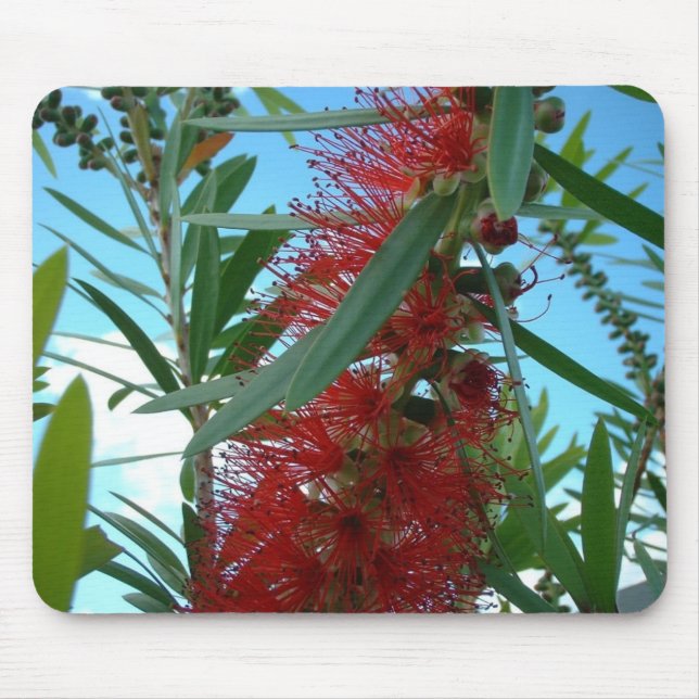 Tapis de souris (Devant)