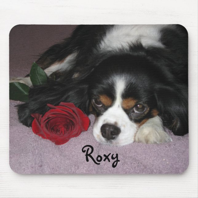 Tapis de souris (Devant)