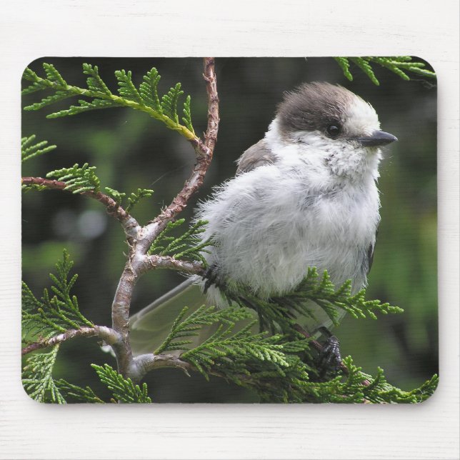 Tapis de souris (Devant)