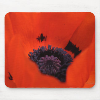 Tapis de souris