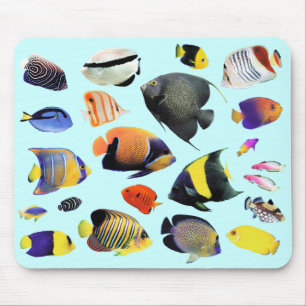Tapis De Souris 熱 帯 の 海 水 魚 の マ パ , No.02