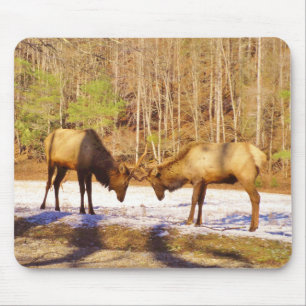 Tapis De Souris 2~ deux Bull Elk dans la neige