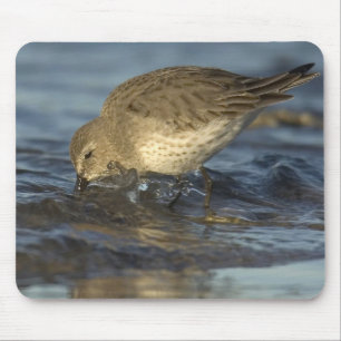 Tapis de souris 3 d'oiseau