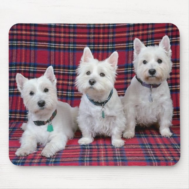 Tapis De Souris 3 Westies (Devant)