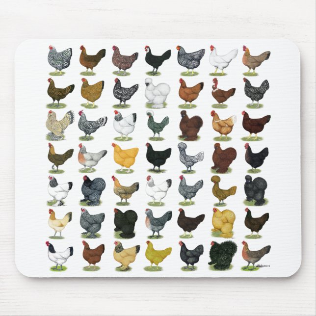 Tapis De Souris 49 poules de poulet (Devant)