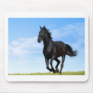Tapis De Souris à cheval noir dans une prairie-verte