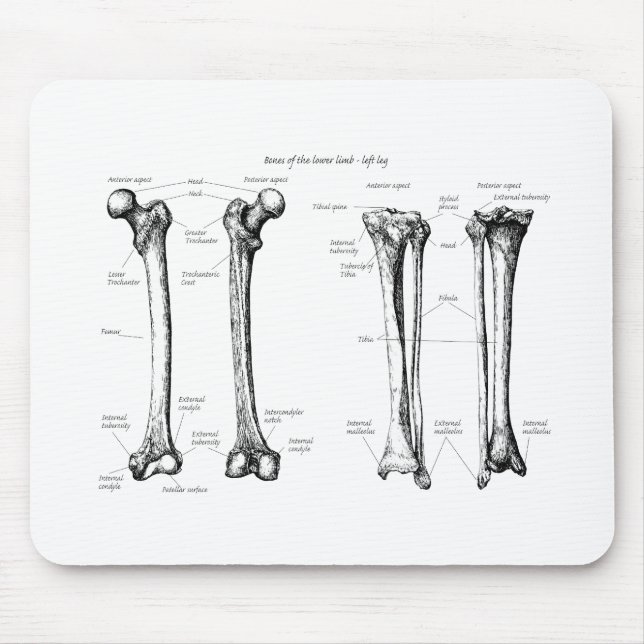 Tapis De Souris Abaissez le gris de membre (Devant)