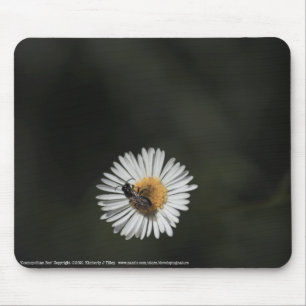Tapis De Souris Abeille cosmopolite