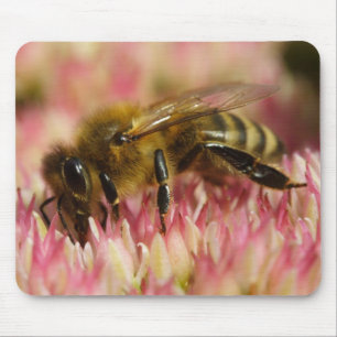 Tapis De Souris Abeille de miel de l'Ouest