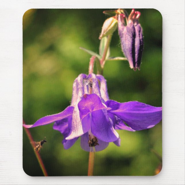 Tapis De Souris Abeille Sur Columbine (Devant)