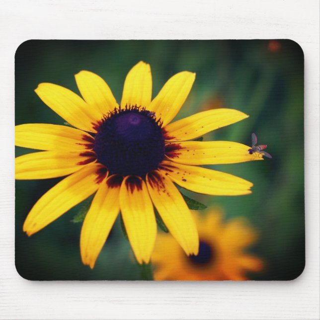 Tapis De Souris Abeille Sur Fleur Susan À Oeil Noir (Devant)