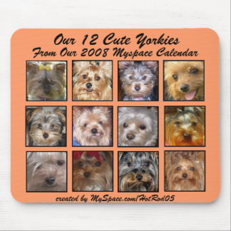 Tapis De Souris ABRICOT MIGNON de CALENDRIER de YORKIES 2008