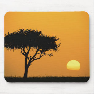 Tapis De Souris Acacia solitaire en silhouette au lever du soleil,