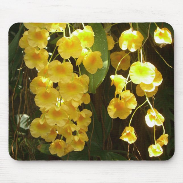 Tapis De Souris Accrocher les orchidées jaunes Fleurs tropicales (Devant)