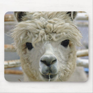 Tapis De Souris Adorable Alpaca