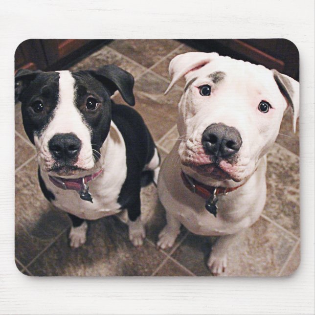 Tapis De Souris adorable chiot chien (Devant)