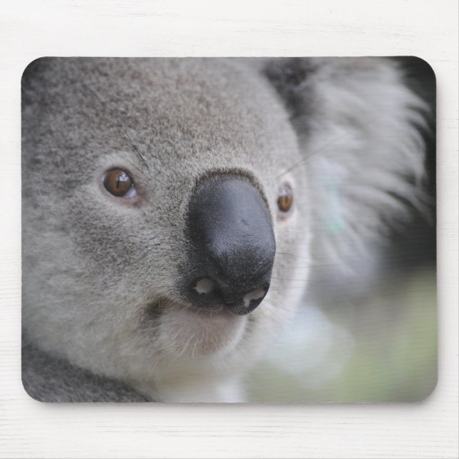Tapis De Souris Adorable Ours Koala (Devant)
