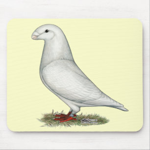 Tapis De Souris Afficher le blanc de la course