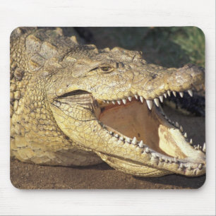 Tapis De Souris Afrique, Afrique du Sud crocodile du Nil