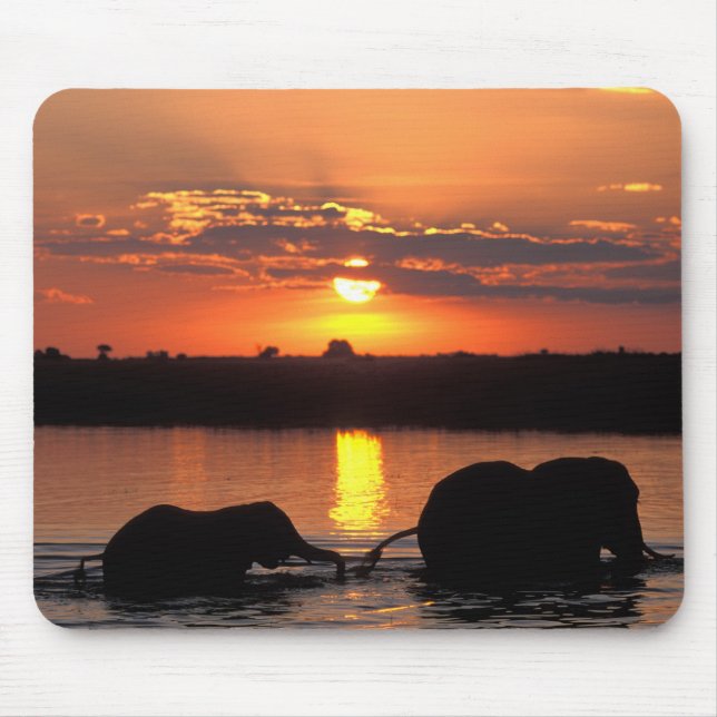 Tapis De Souris Afrique, Botswana, Parc national de Chobe, Herd (Devant)