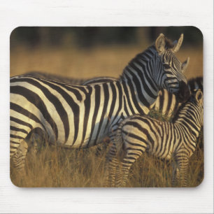 Tapis De Souris Afrique, Kenya, réserve de gibier Masai Mara. Plai