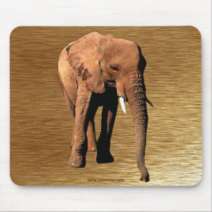 Tapis De Souris Afrique sauvage Amateurs d'animaux Big Five