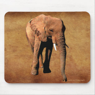 Tapis De Souris Afrique sauvage Amateurs d'animaux Big Five